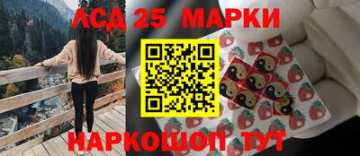 ешки Новодвинск