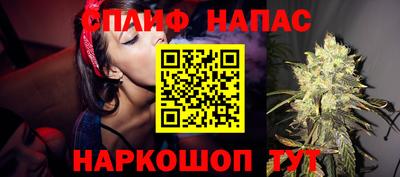 прущие грибы Новокубанск