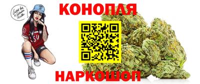 ешки Новодвинск